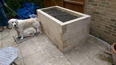 Raised beds