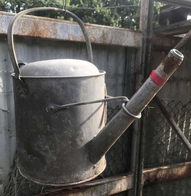 Galvanised Watering Can