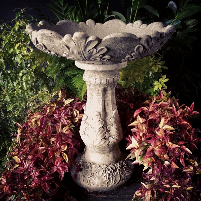 Acanthus Birdbath