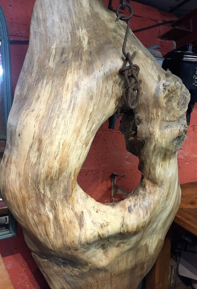 Extremely Rare Tree Burr SOLD