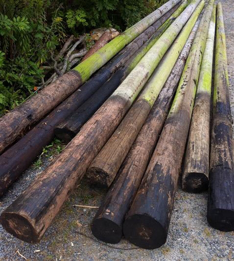 Reclaimed Telegraph Poles 6m to 9m
