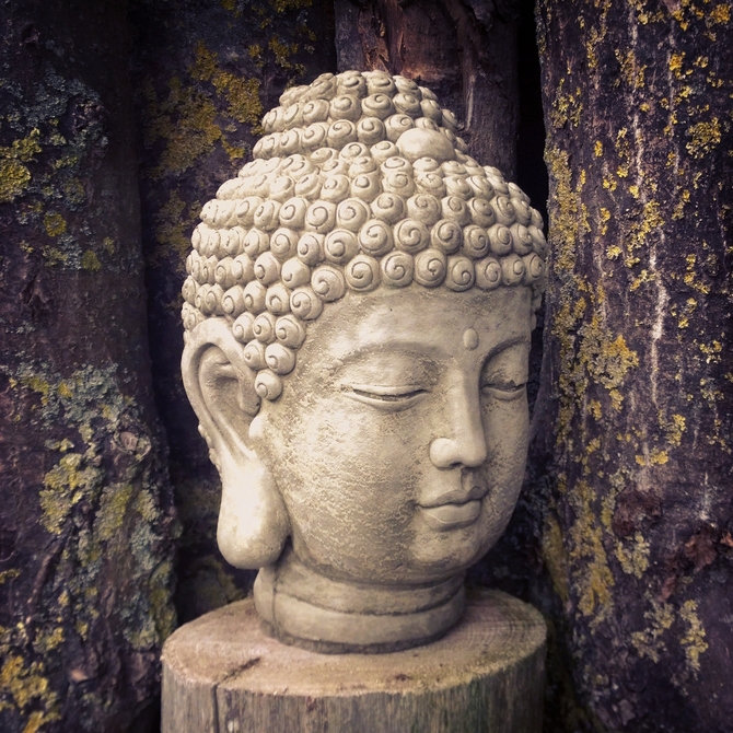Buddha Head Medium