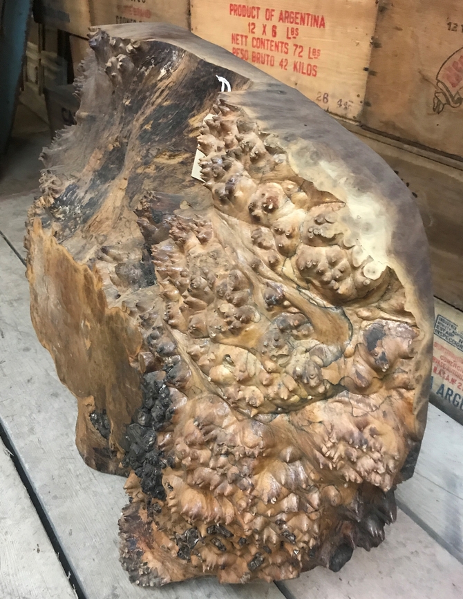 Feature Tropical Hardwood Burr SOLD