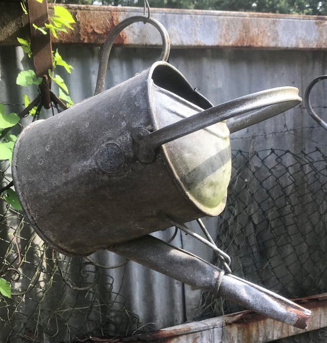 Galvanised Watering Can