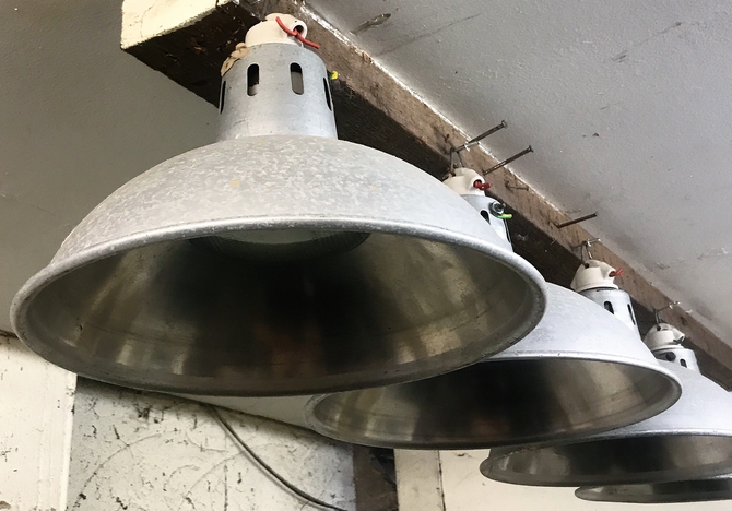 Industrial Lampshades