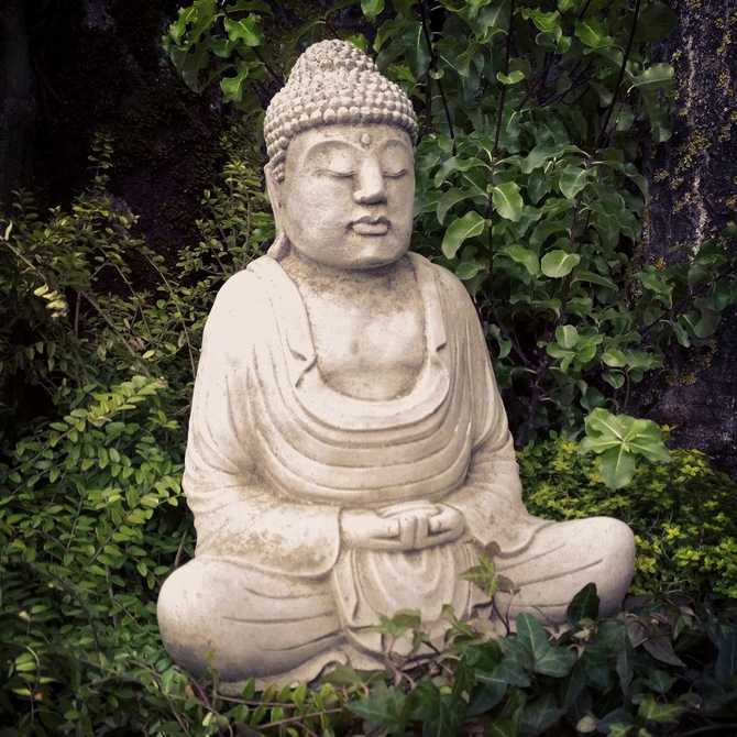 Buddha Serene